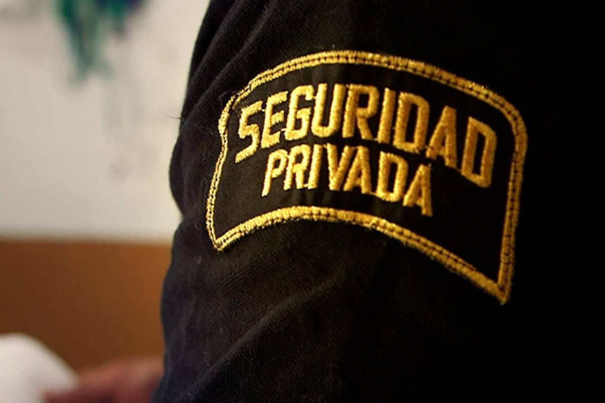 Consejo Empresarial de Seguridad Privada trabajará para profesionalizar este sector