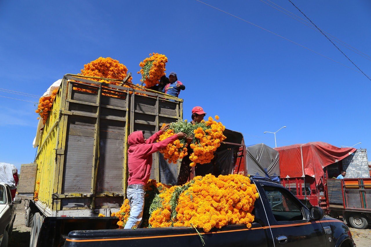 Viales no podrán infraccionar vehículos que transporten productos del campo