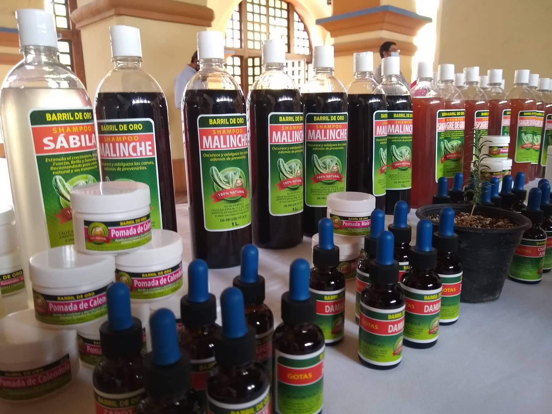 Incrementa venta de productos herbolarios en Zapotitlán Salinas por pandemia 