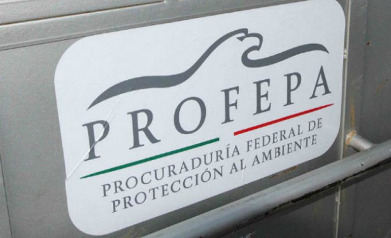 Te caerían bien 63 mil pesos, Profepa solicita personal