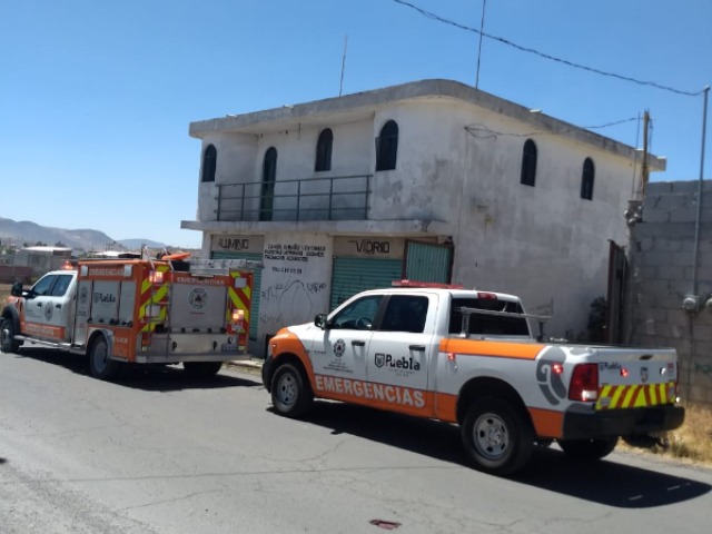 Ataque de abejas deja 3 lesionados al sur de Puebla