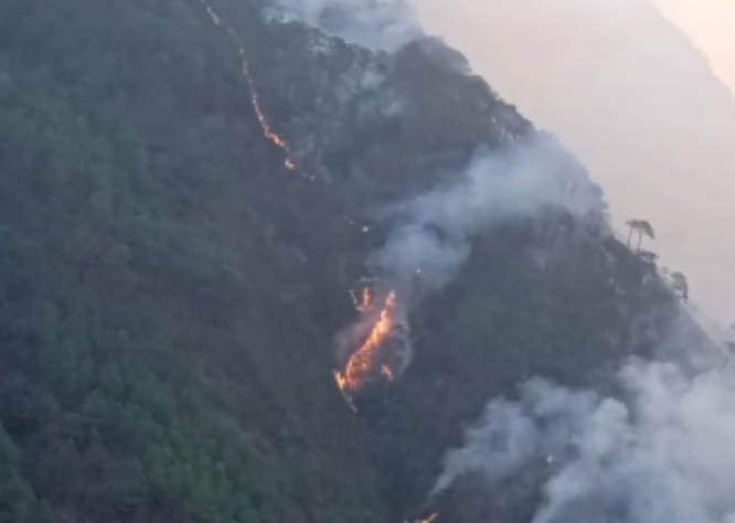 Se registra esta madrugada nuevo incendio forestal en Zacatlán 