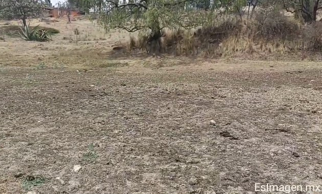 VIDEO Falta de lluvias seca jagüey en Tlaxcala