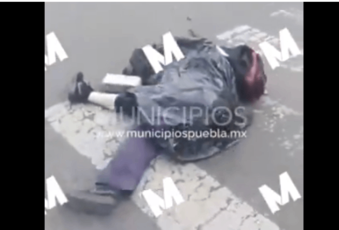 VIDEO Ruta del transporte público atropella a hombre frente al Campanario