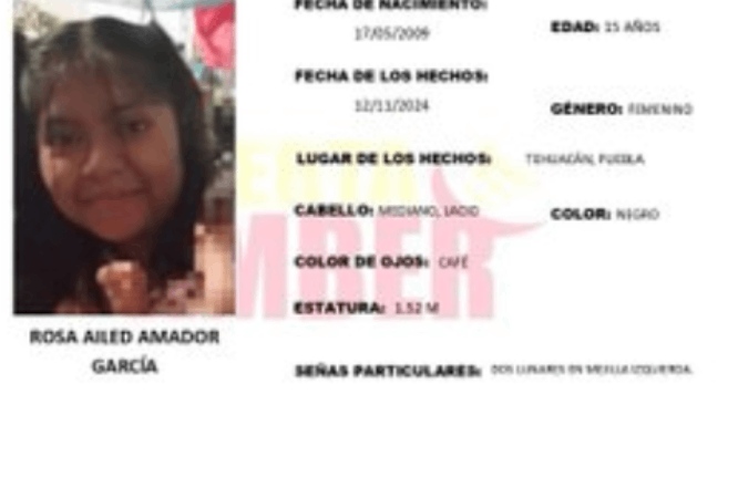 Rosa de 15 años desapareció en calles de Tehuacán