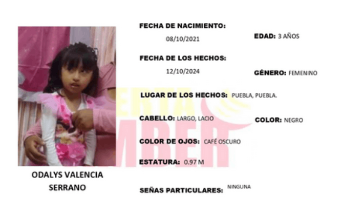 Odalys de 3 años se extravió en junta auxiliar de San Francisco Totimehuacan