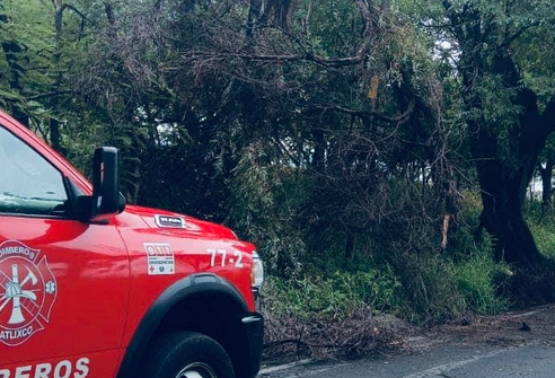 Luvias derriban árboles en Atlixco y bloquean caminos