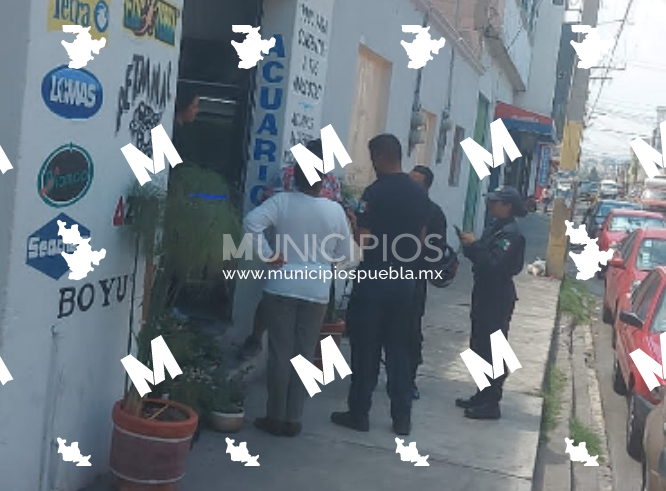 Ladrón solitario asalta una tienda de mascotas en Texmelucan