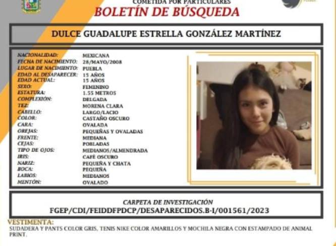 Dulce Guadalupe desapareció en calles de Amalucan en Puebla