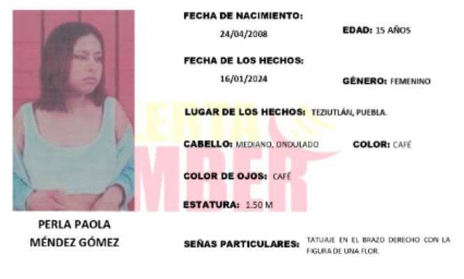 Activan Alerta Amber para localizar a Perla; desapareció en Teziutlán