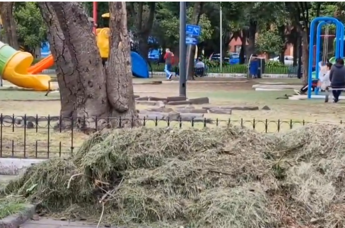 Piden retiro de pasto acumulado en Parque de Santiago