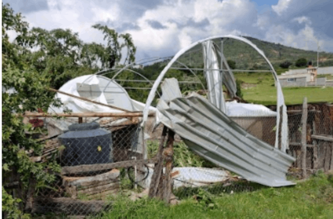 Fuertes vientos causan afecciones a viviendas en Tlaxco