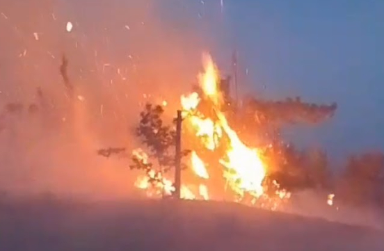 En Amixtlán avanza incendio forestal y vecinos piden ayuda al gobierno