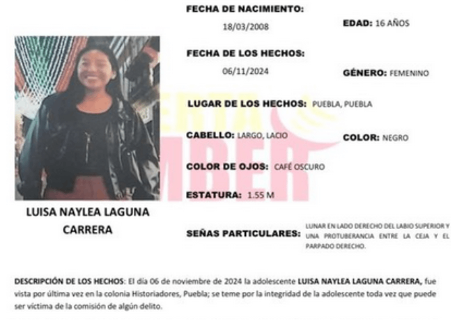 Luisa de 16 años desapareció en calle de la colonia Historiadores