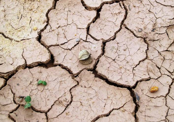 Medio Ambiente declara a Chignahuapan con sequía extrema