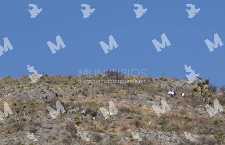 Encuentran cadáver en el cerro del Monumento en Tecamachalco