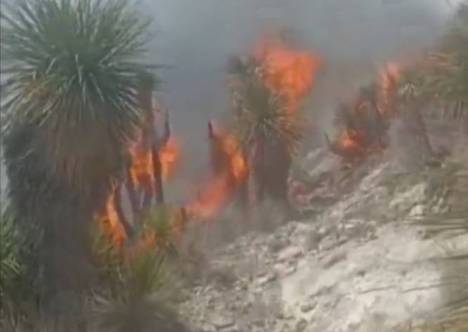 VIDEO Se reactiva incendio en montes el Boludo, el Cuitas y el Conejo en Tepeyahualco