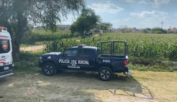 Joven se cuelga de árbol en terrenos de cultico de Tehuacán