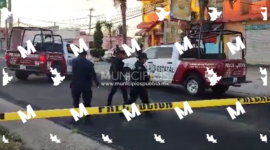 VIDEO Así fue la balacera en el bar La Jaula que dejó 4 muertos en Amozoc