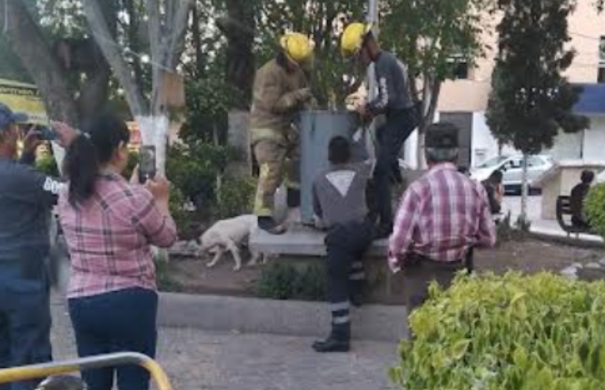 Roban placa de cápsula del tiempo en Texmelucan