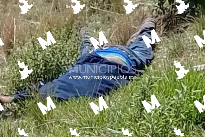 Localizan cadáver a un costado del Arco Norte en límites de Tlaxcala e Hidalgo