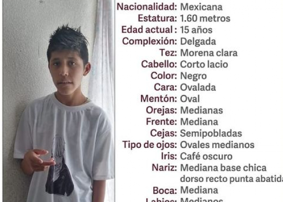 Luis Ángel de 15 años desapareció en Puebla capital