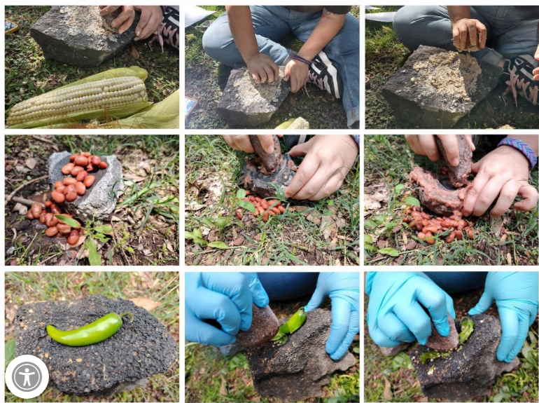 Identifican restos de maíz en artefactos de molienda de 6,000 años hallados en Xochimilco