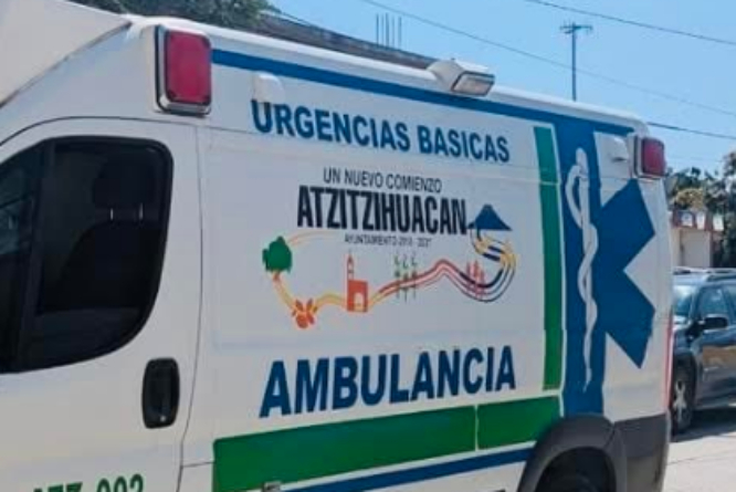 En la región de Atlixco las abejas atacan a abuelitos
