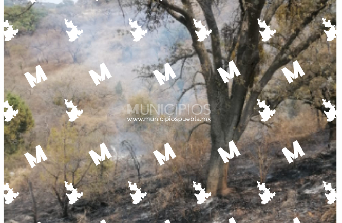 Incendio en el Totolquemec daña hectáreas de pastizales en Texmelucan