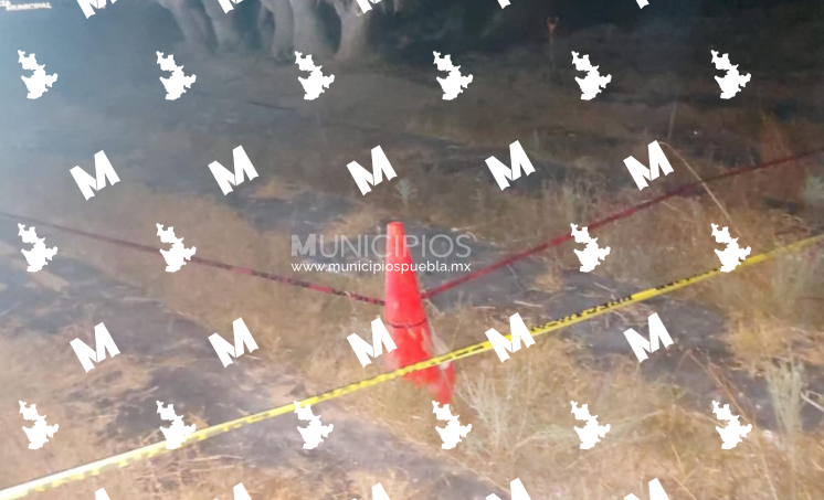 Fiscalía inicia diligencias en una fosa en Palmar de Bravo