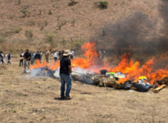 FGR destruye 450 kilos de narcóticos y 77 máquinas tragamonedas en Nayarit