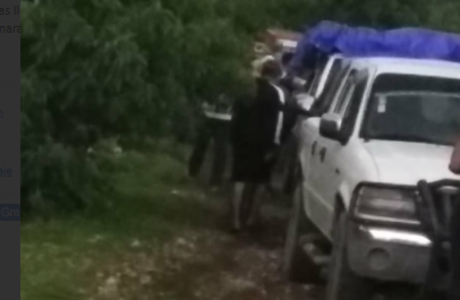 Reanudan entrega de semilla de sorgo y abono en Tepeojuma tras intensas lluvias