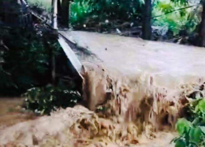 Lluvias dañan al menos 10 hectáreas de viveros en Cabrera, en Atlixco