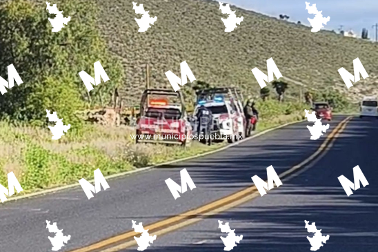 Localizan al menos tres cuerpos desmembrados y embolsados en Nicolás Bravo