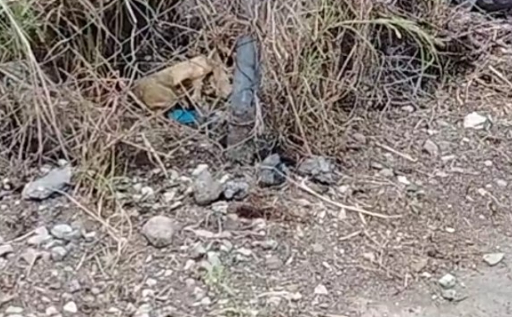 Encuentran restos humanos en pleno centro de Izúcar