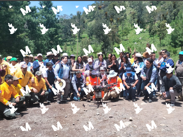 Realizan reforestación con drones en Tlahuapan