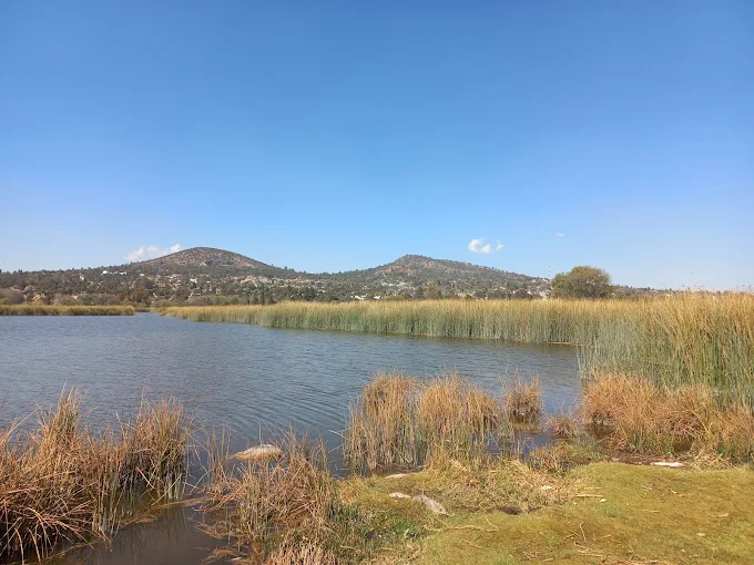 Halla cuerpo de mujer en la laguna El Ojito, Apizaco