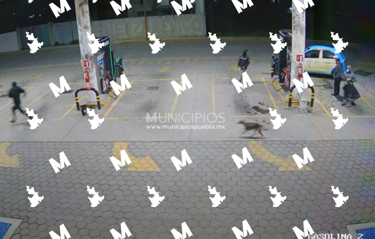 Se registra intento de asalto en una gasolinera de Tlachichuca