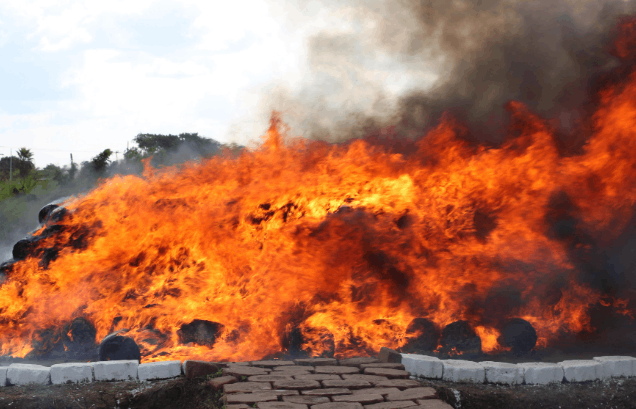 FGR y SEMAR destruyen dos toneladas de narcóticos en Veracruz