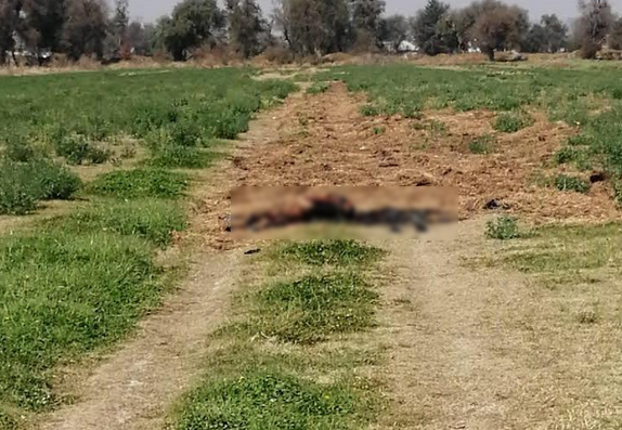 Hallan cadáver calcinado en predio de Tlaxcala