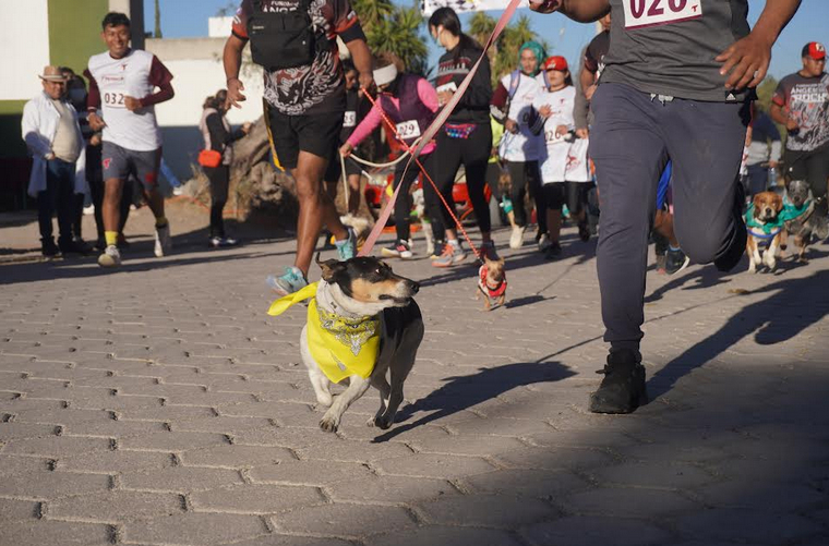 En Tecamachalco realizan la carrera de mascotas
