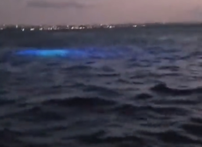 VIDEO Captan OSNI en aguas de Puerto Rico