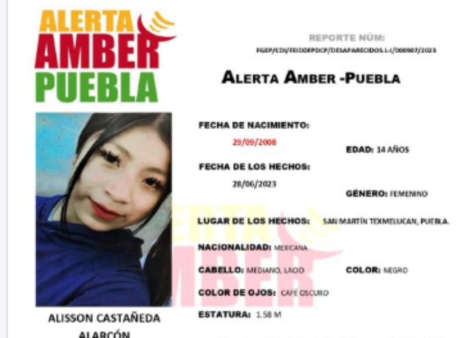 Alisson de 14 años desapareció en calles de Texmelucan