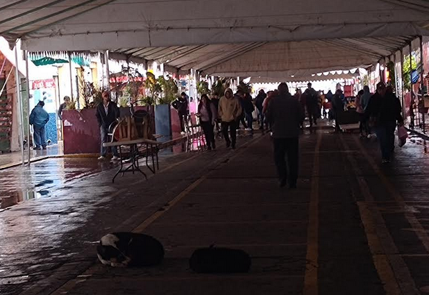 Salida de comerciantes a las calles de Texmelucan genera caos