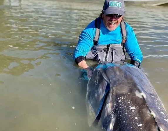 Pescan esturión de 270 kilos y 100 años