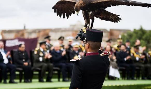 ¿Y el ejército que nos enorgullece?