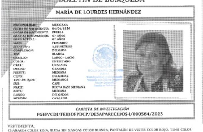 María de Lourdes  de 67 años desapareció en la colonia Alseseca