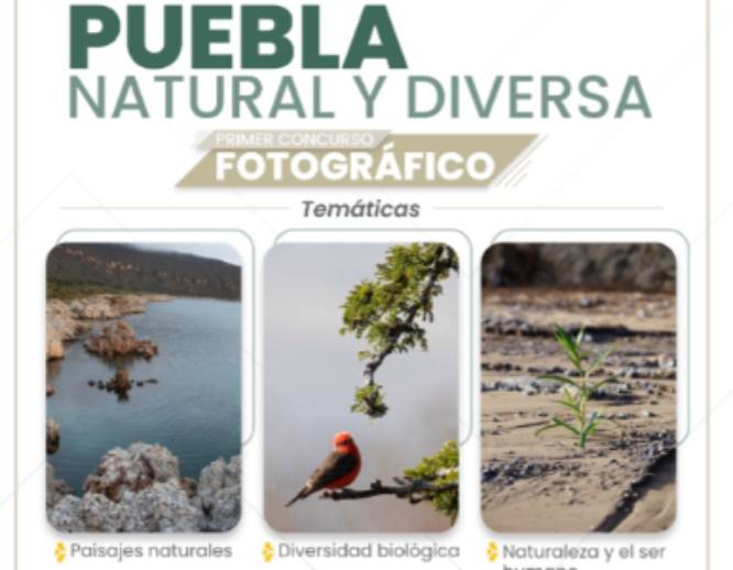 Gobierno de Puebla convoca al primer Concurso Estatal de Fotografía