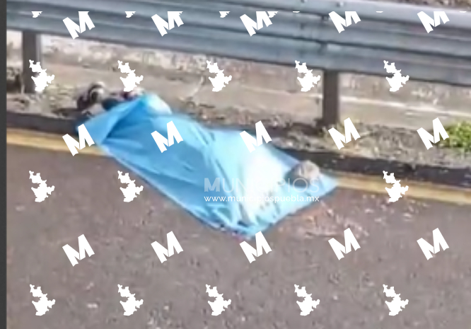 Muere motociclista en accidente sobre la autopista Amozoc-Perote