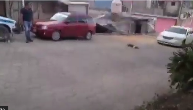 VIDEO Graban a ebrio que atropella y mata a un perro en Huauchinango